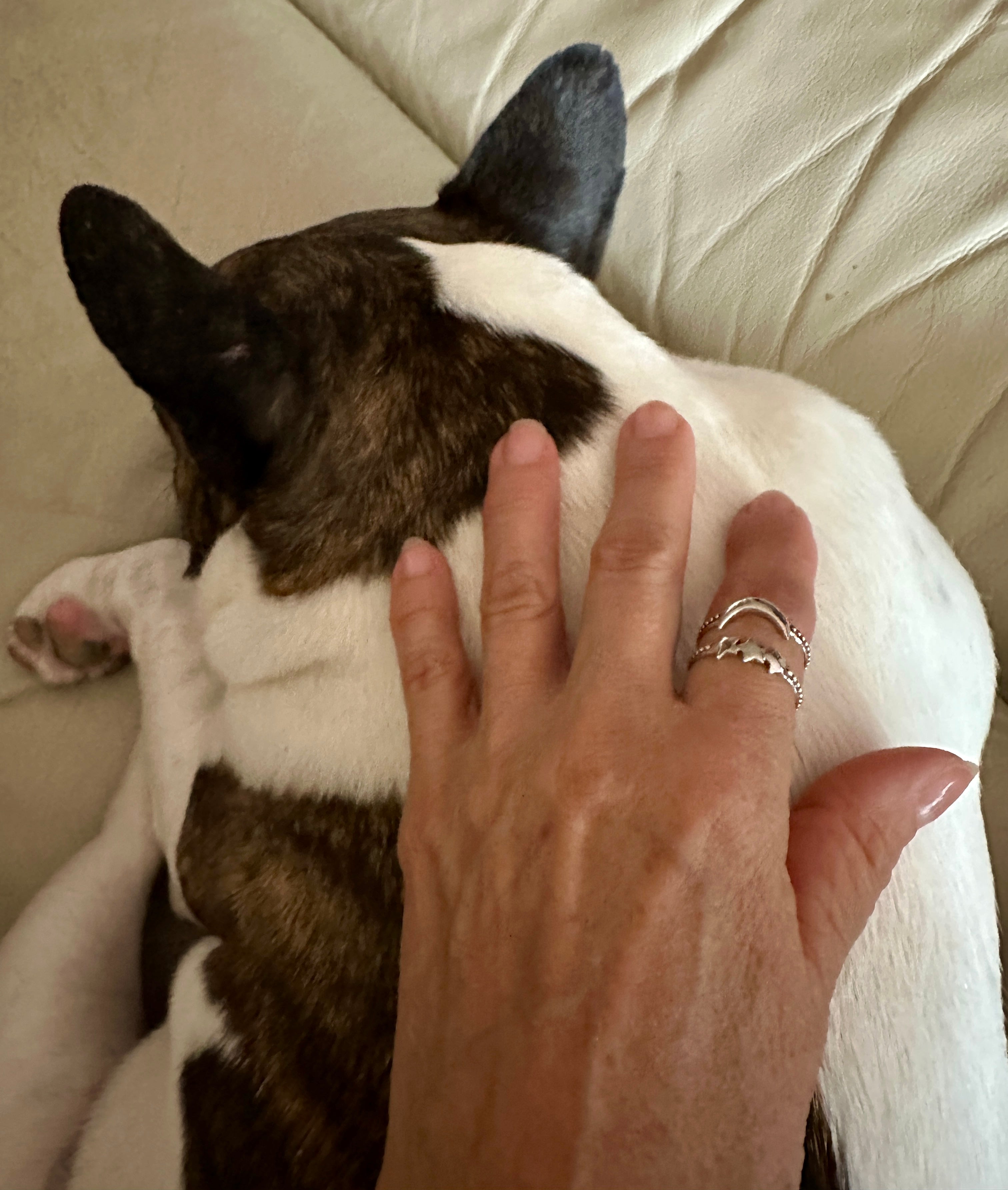 Crescent Moon & 3 Stars Sterling Silver Rings