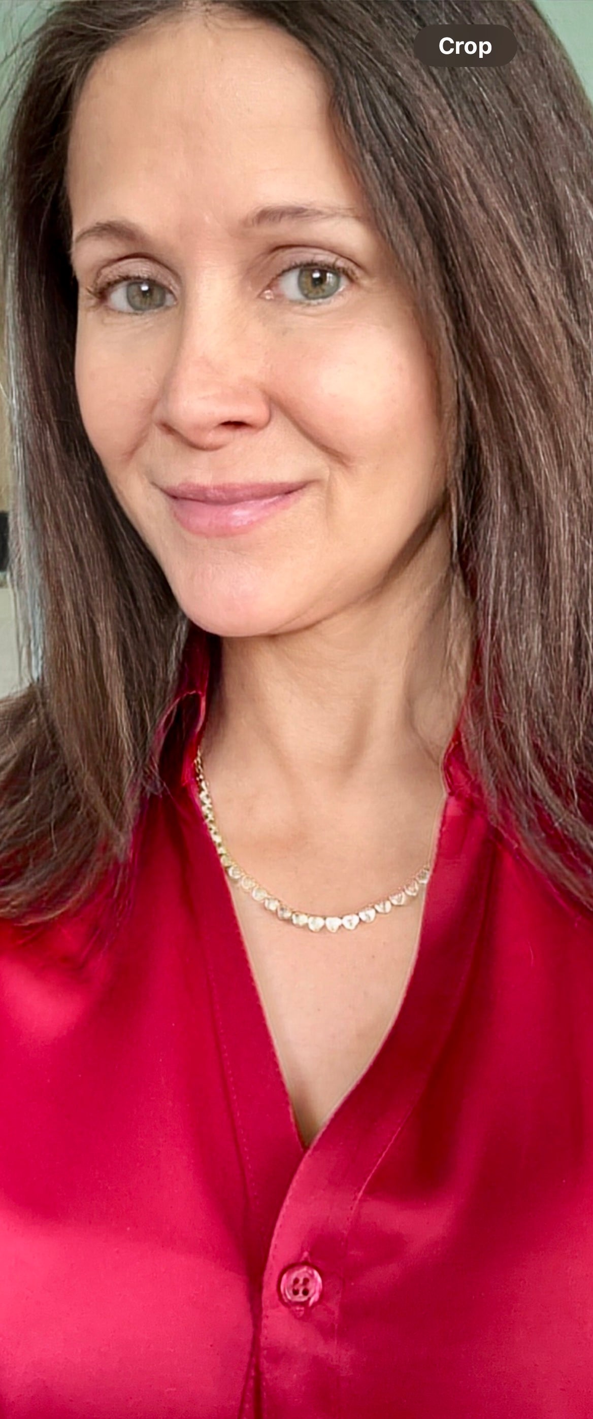 Stephanie Heart CZ Tennis Necklace 14k Gold Plated