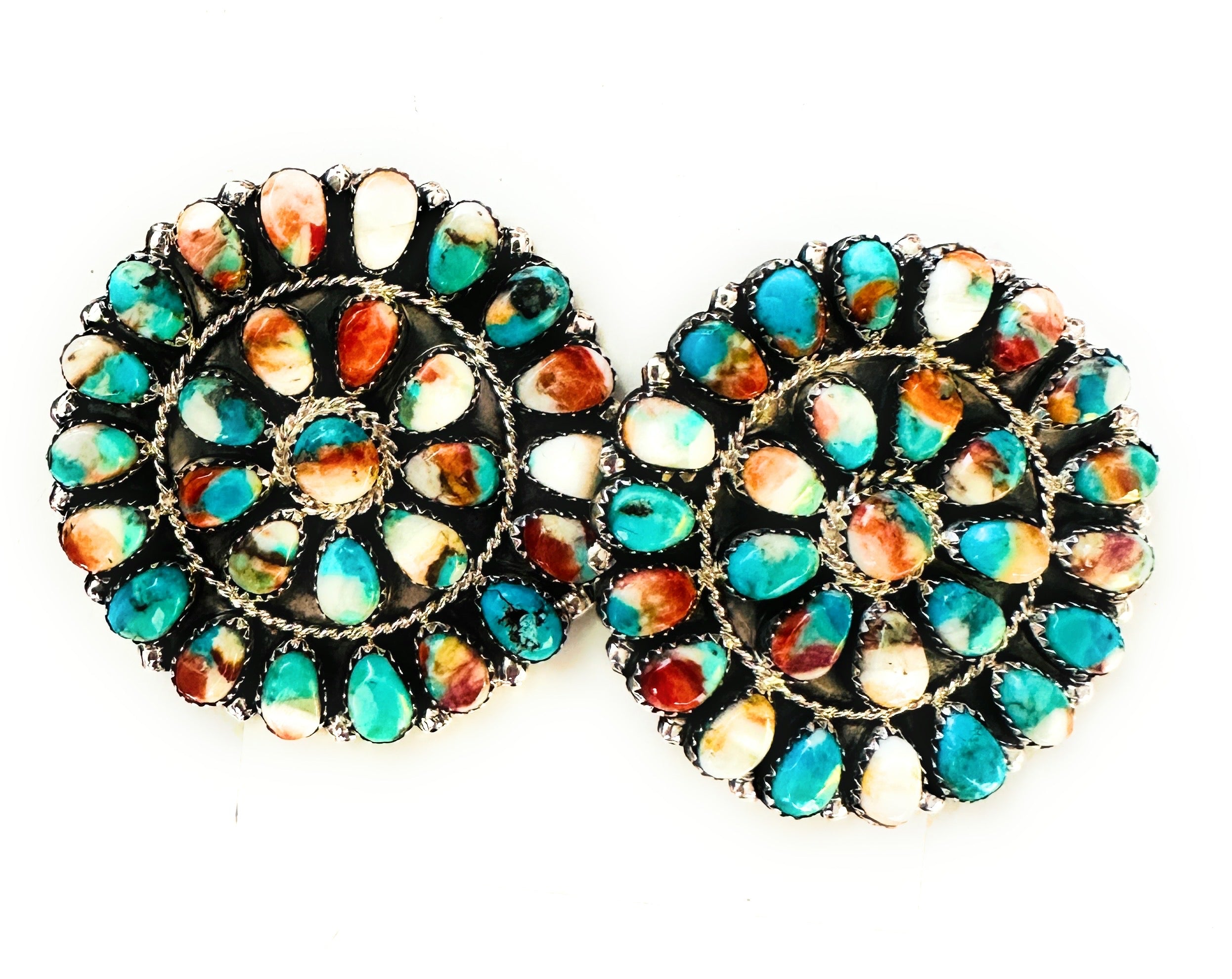 Navajo Multi Stone Spice And Sterling Silver Cluster Post Earrings