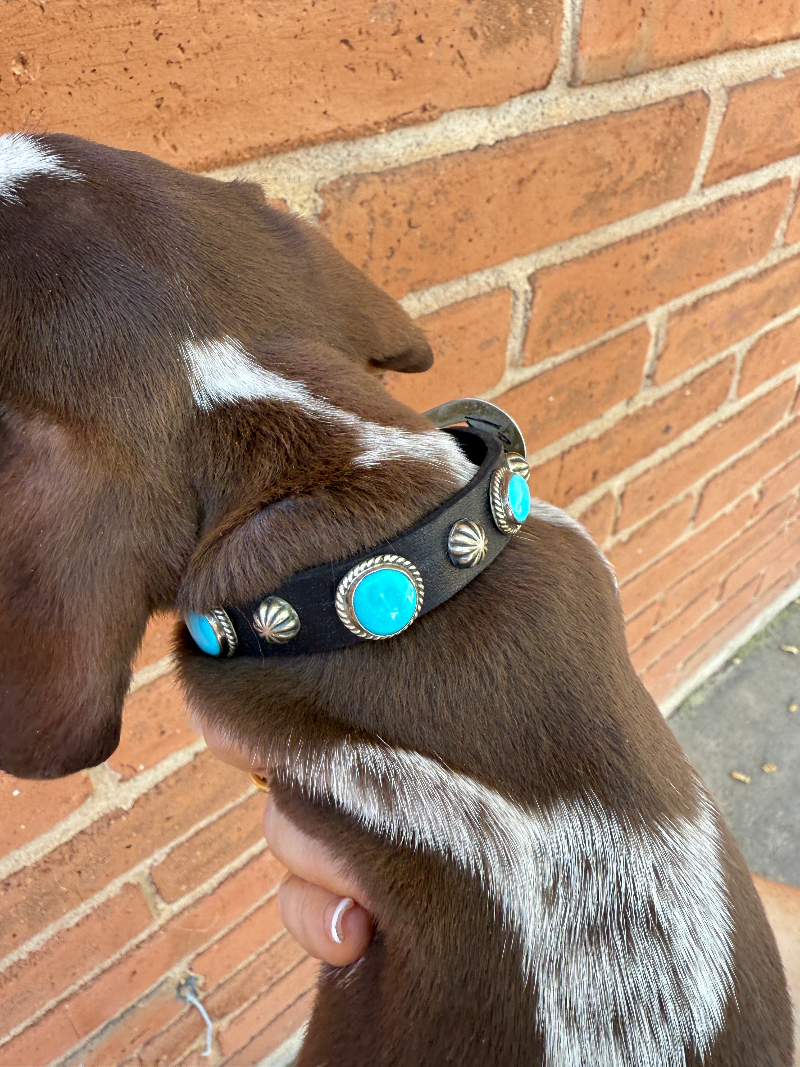 Handcrafted Turquoise Leather Dog Collars