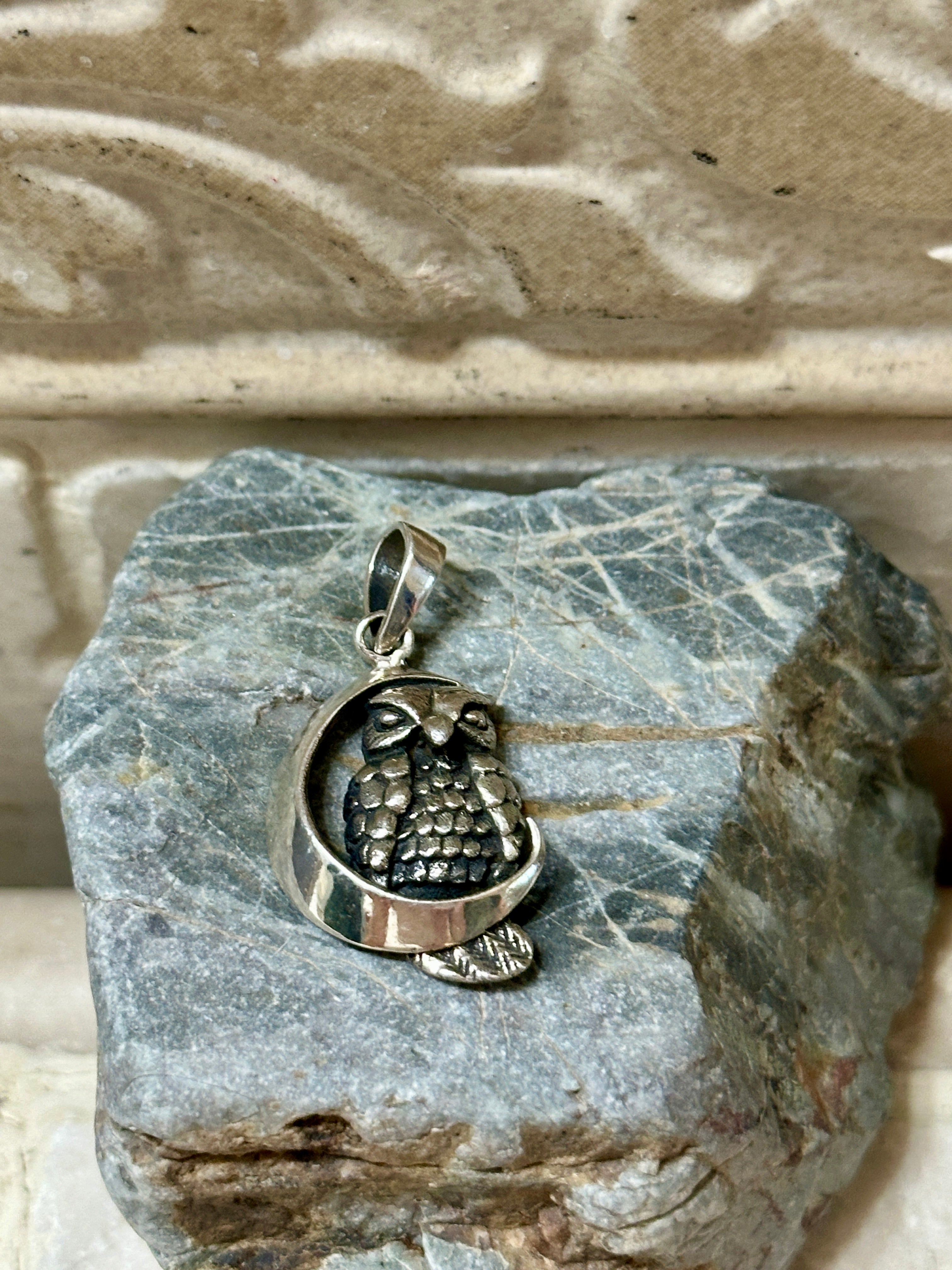 Owl on the Crescent Moon Sterling Silver Pendant