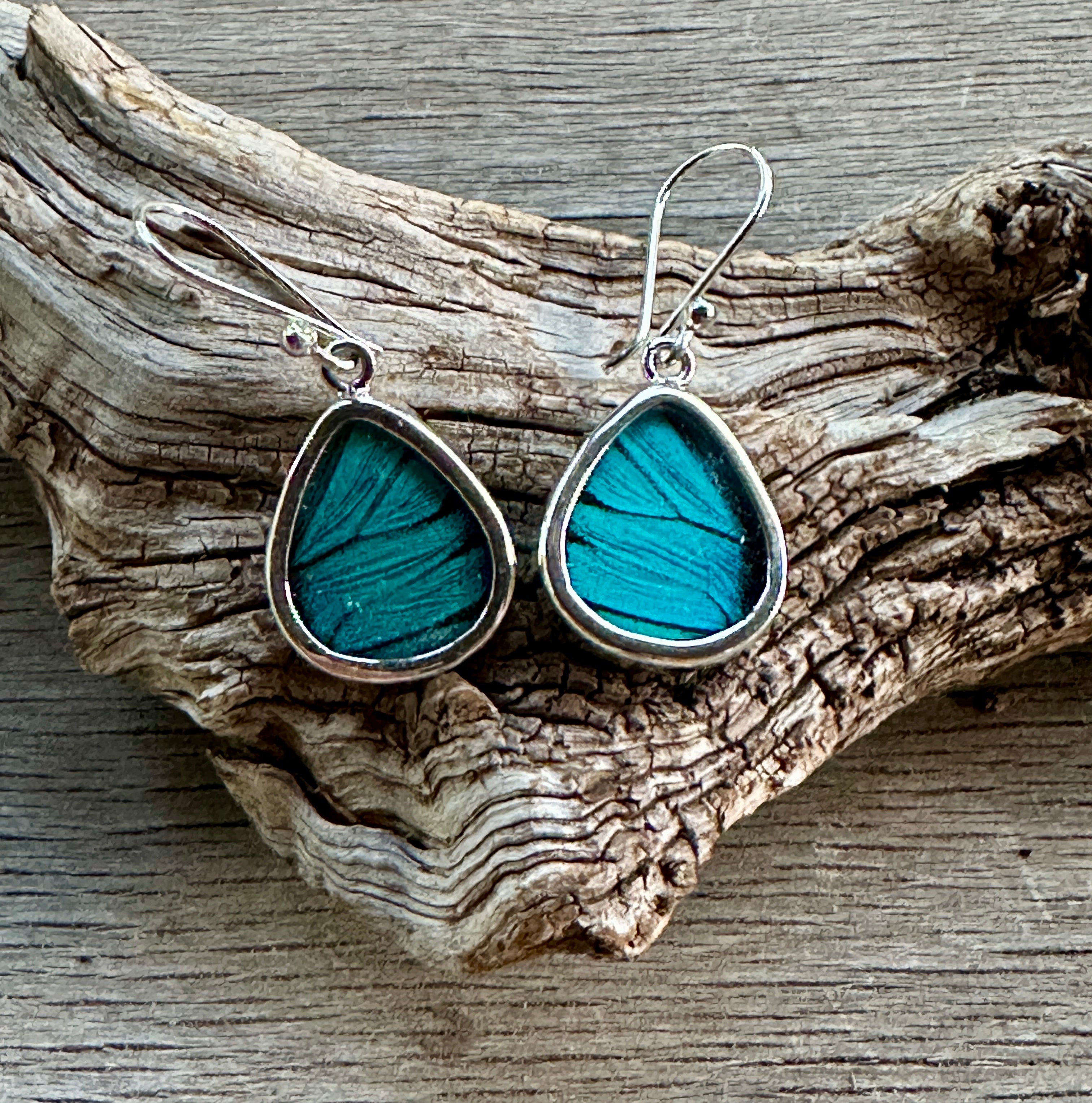 Prepona Blue Butterfly Dangle Earrings