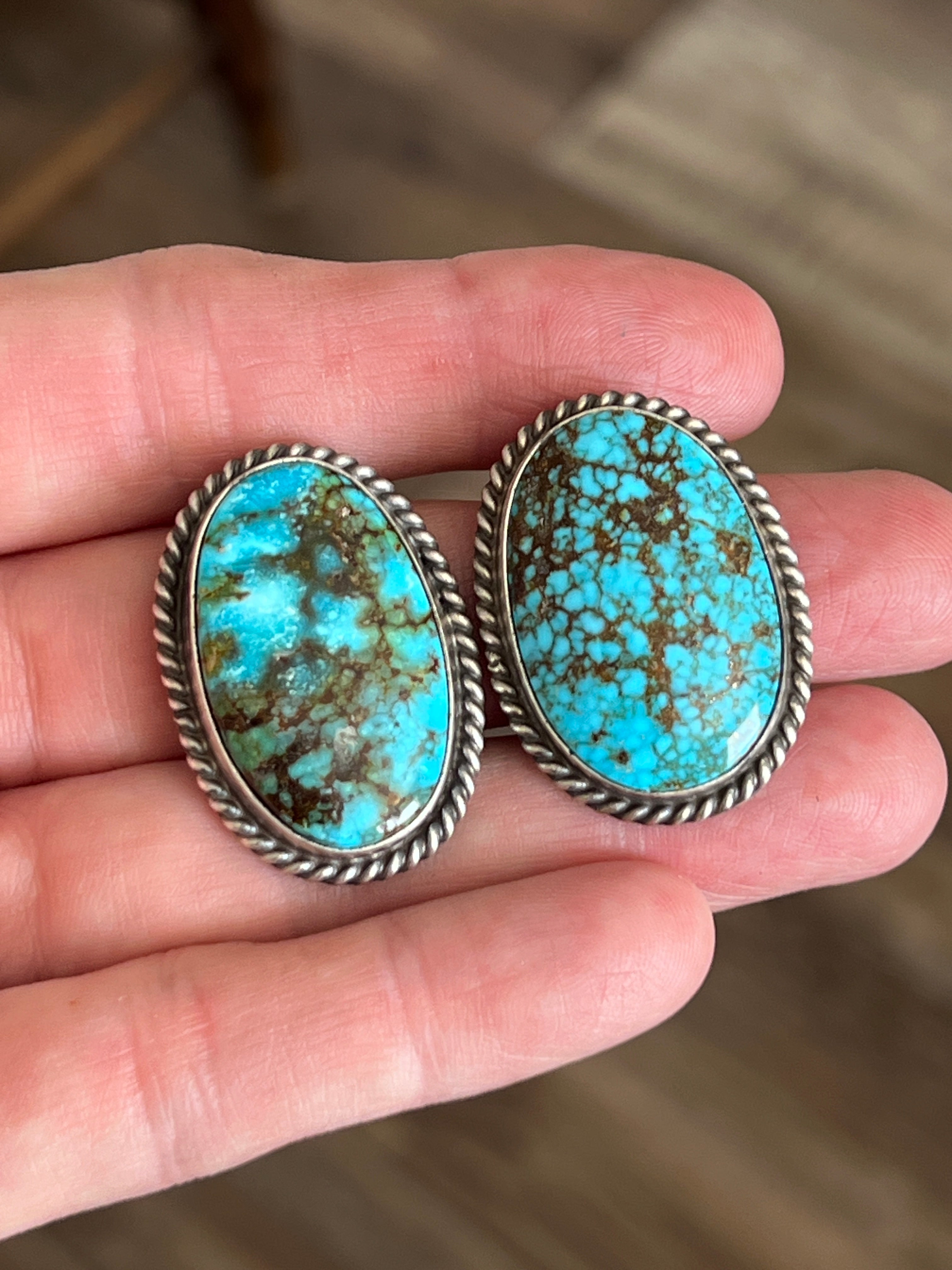 Handcrafted Sterling Silver and Birdseye Kingman Turquoise Y-Style Lariat Necklace and Earrings Set by Peggy Skeets
