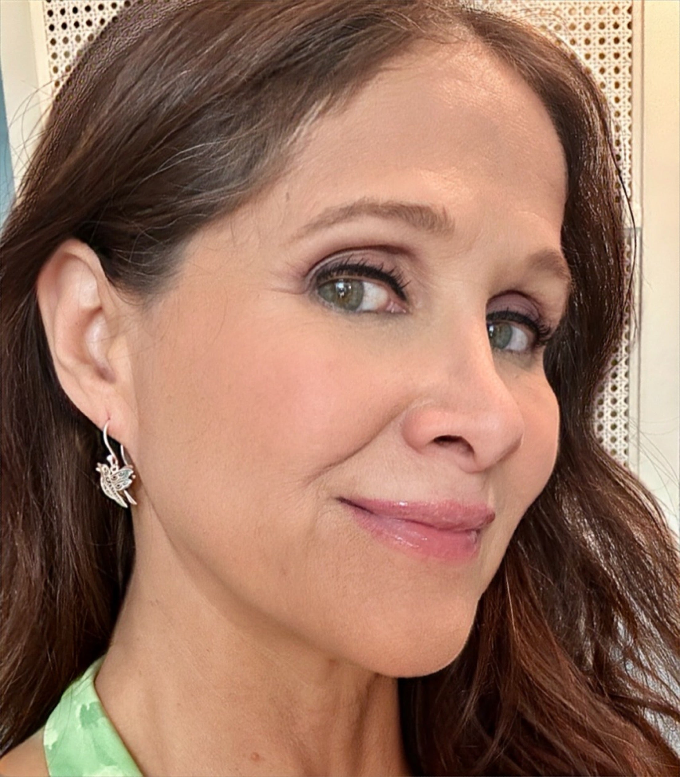 Silver & Copper Two-Piece Hummingbird Earrings on Hook