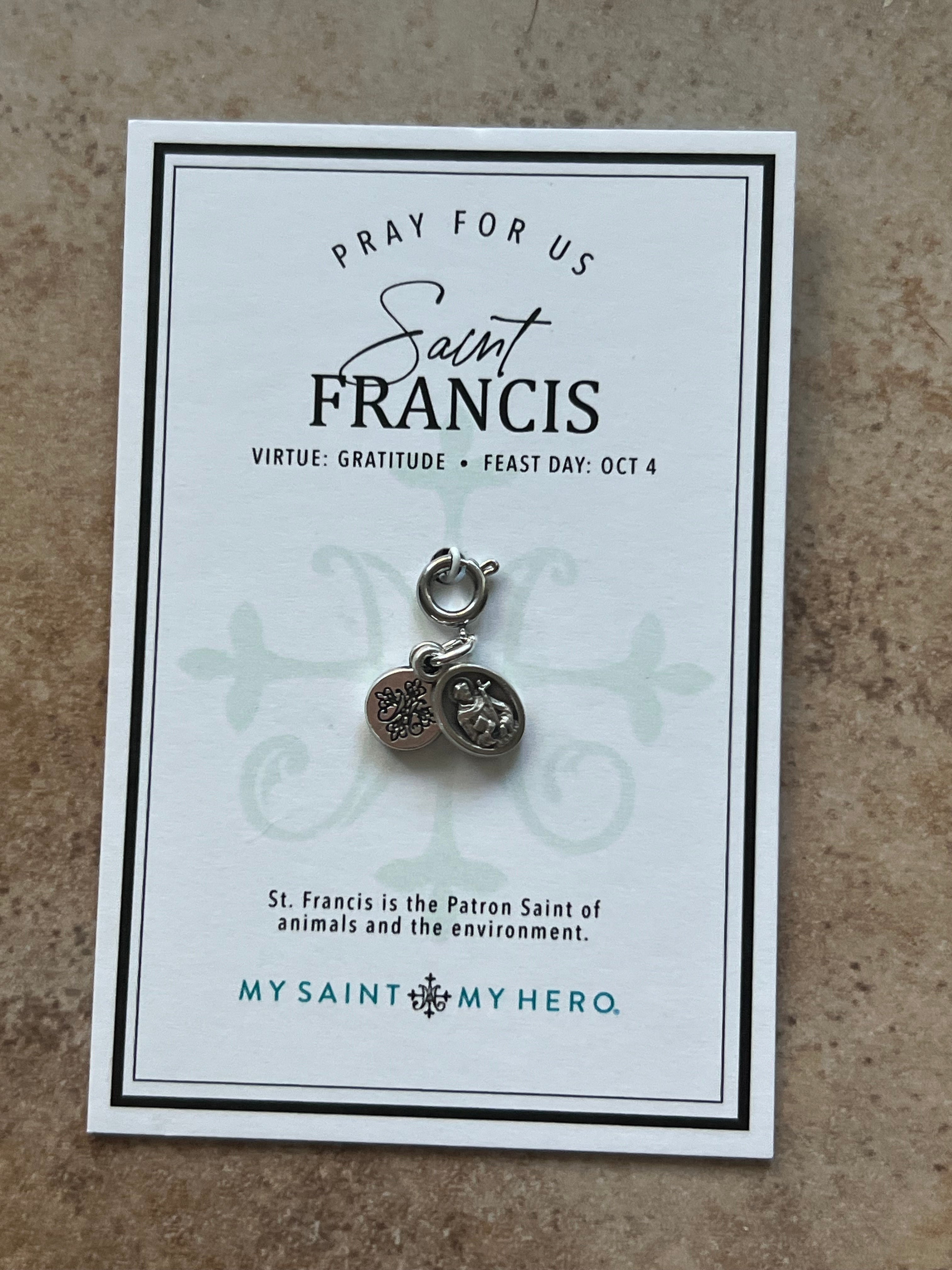 Saint Francis Medal Charm