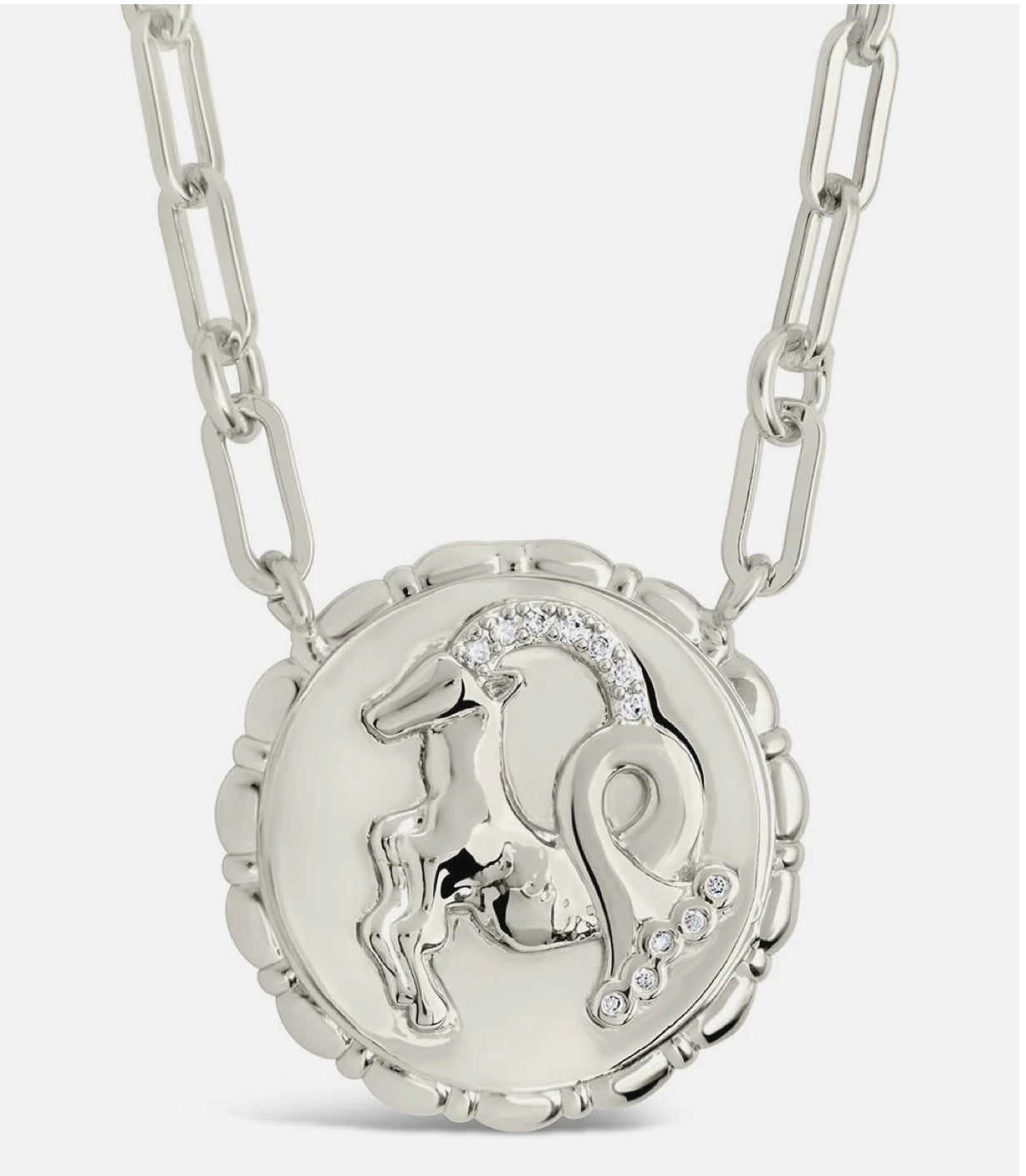 Bold CZ Zodiac Link Capricorn Necklace