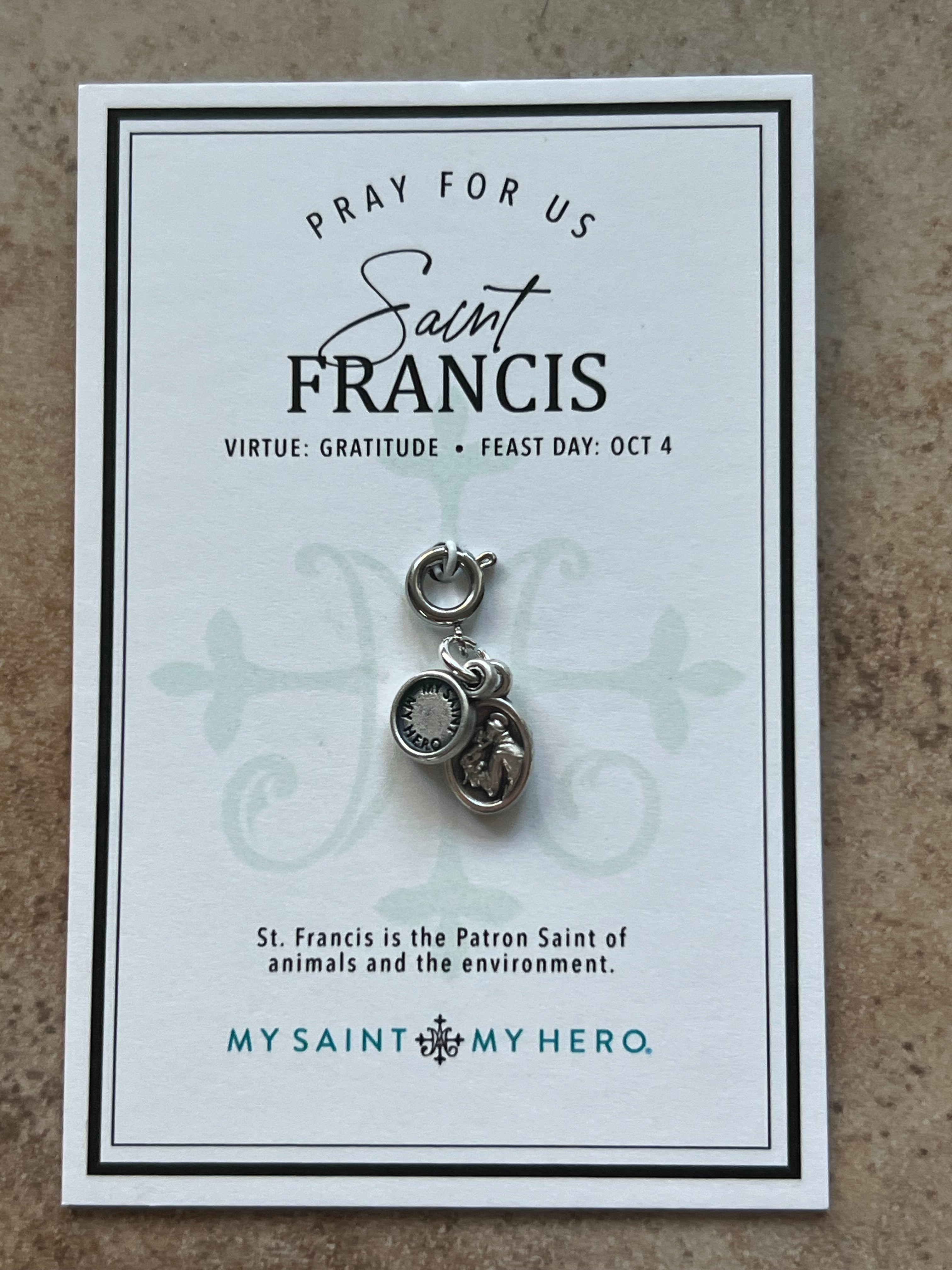 Saint Francis Medal Charm