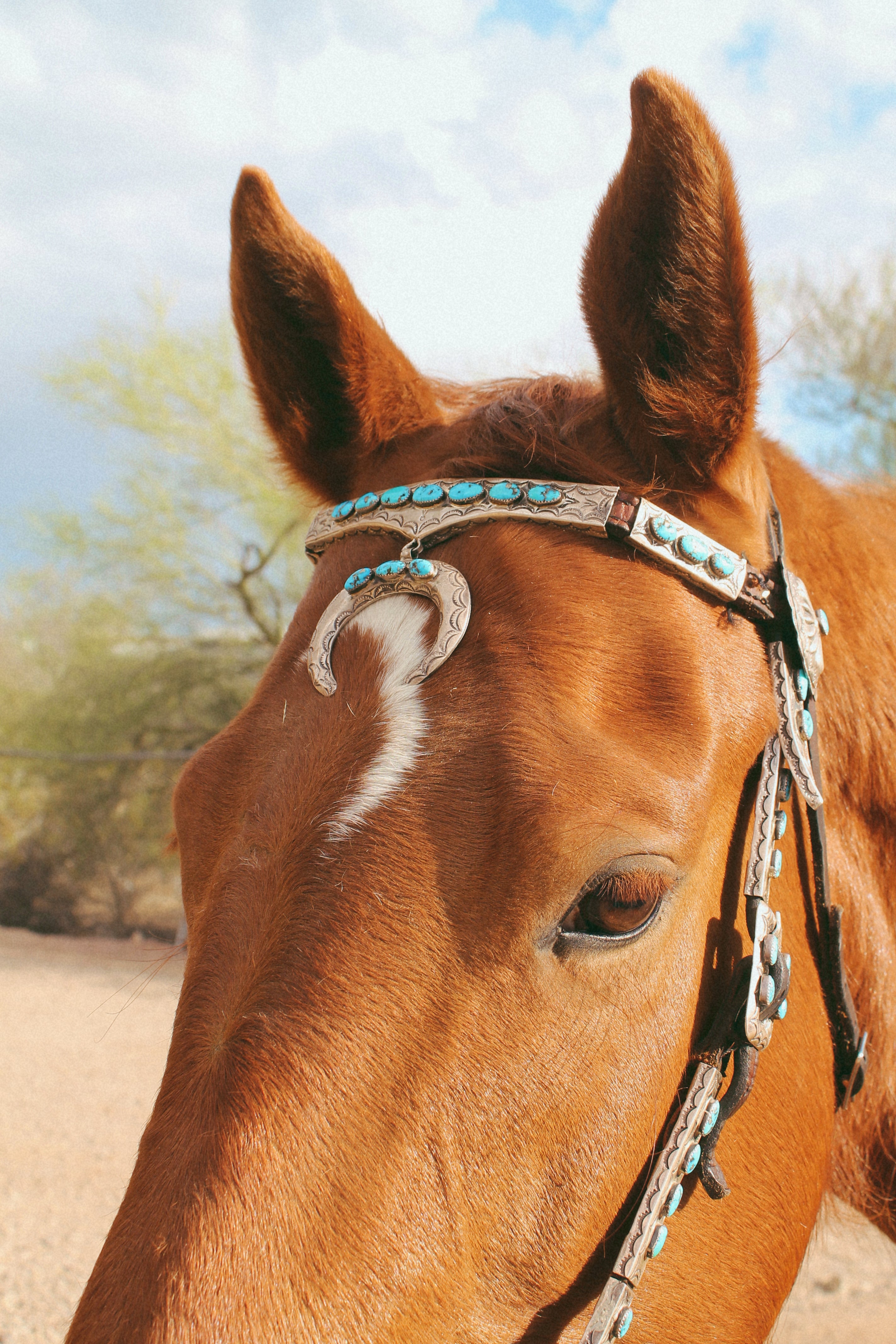 Stunning Vintage Sterling Silver, Leather and Morenci Turquoise Horse Headstall and Reins with Conchos & Naja