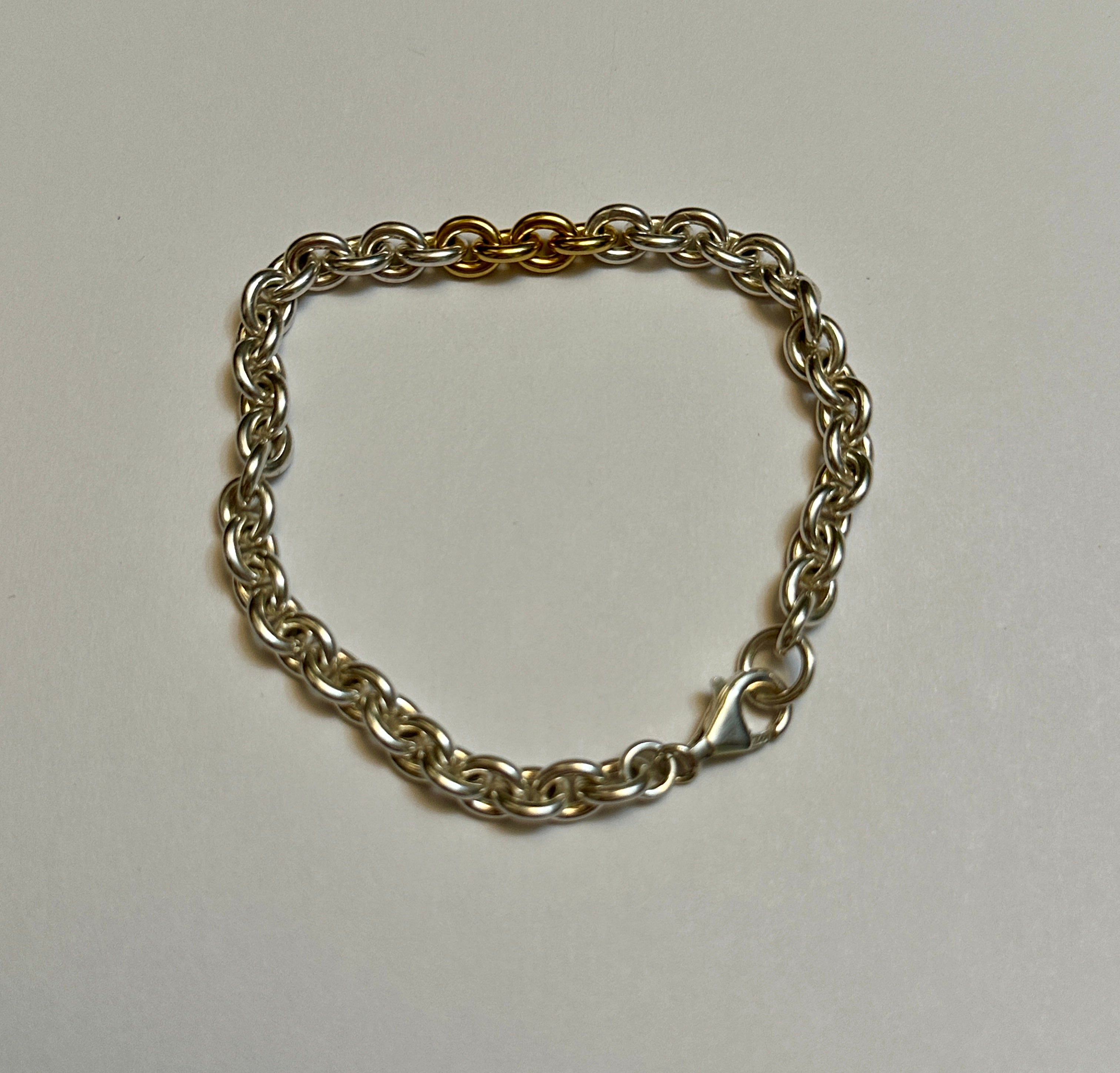 Oval Links Bracelet w/ Gold Detail