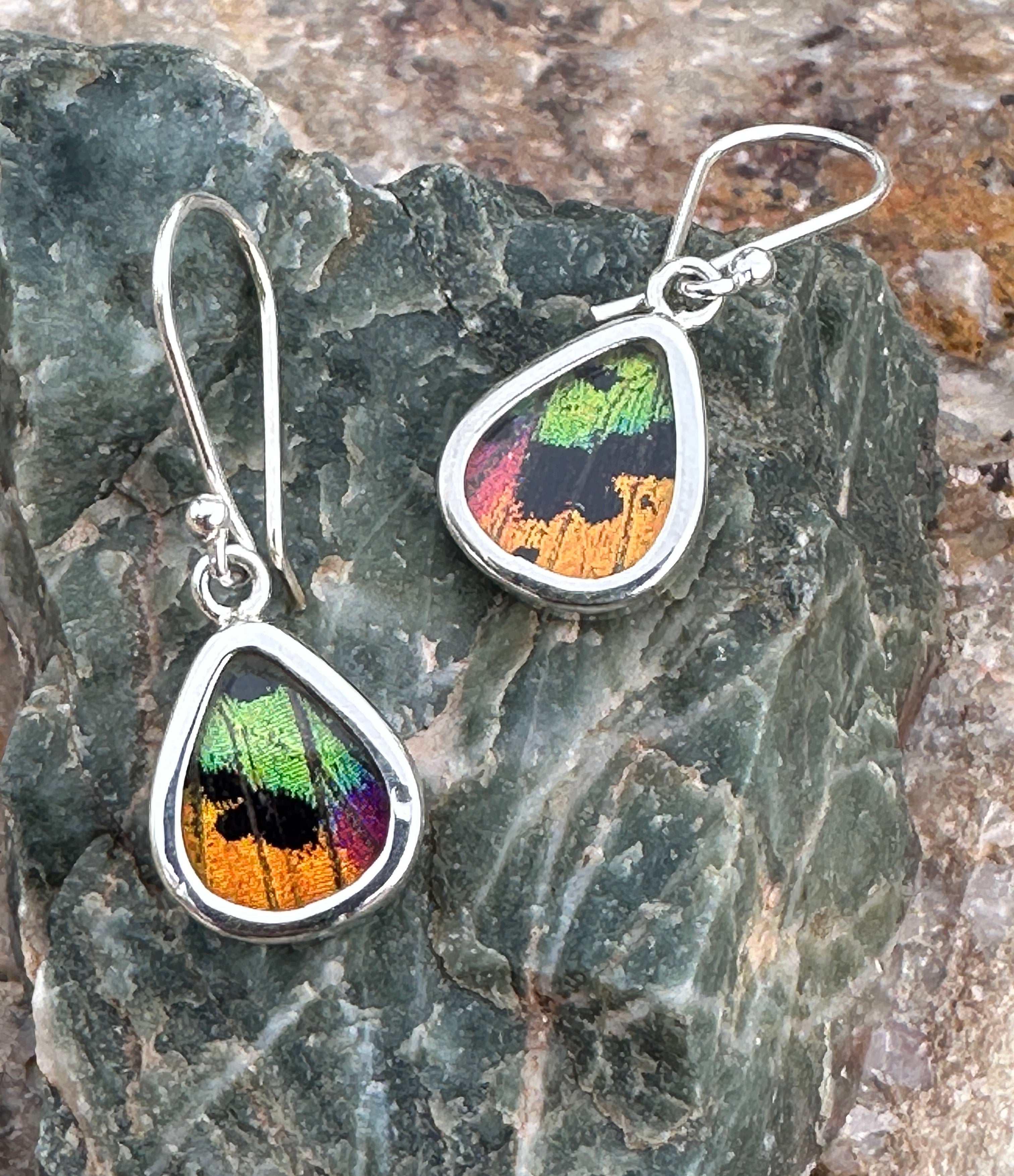 Urania Ripheus Butterfly Dangle Sterling Silver Earrings