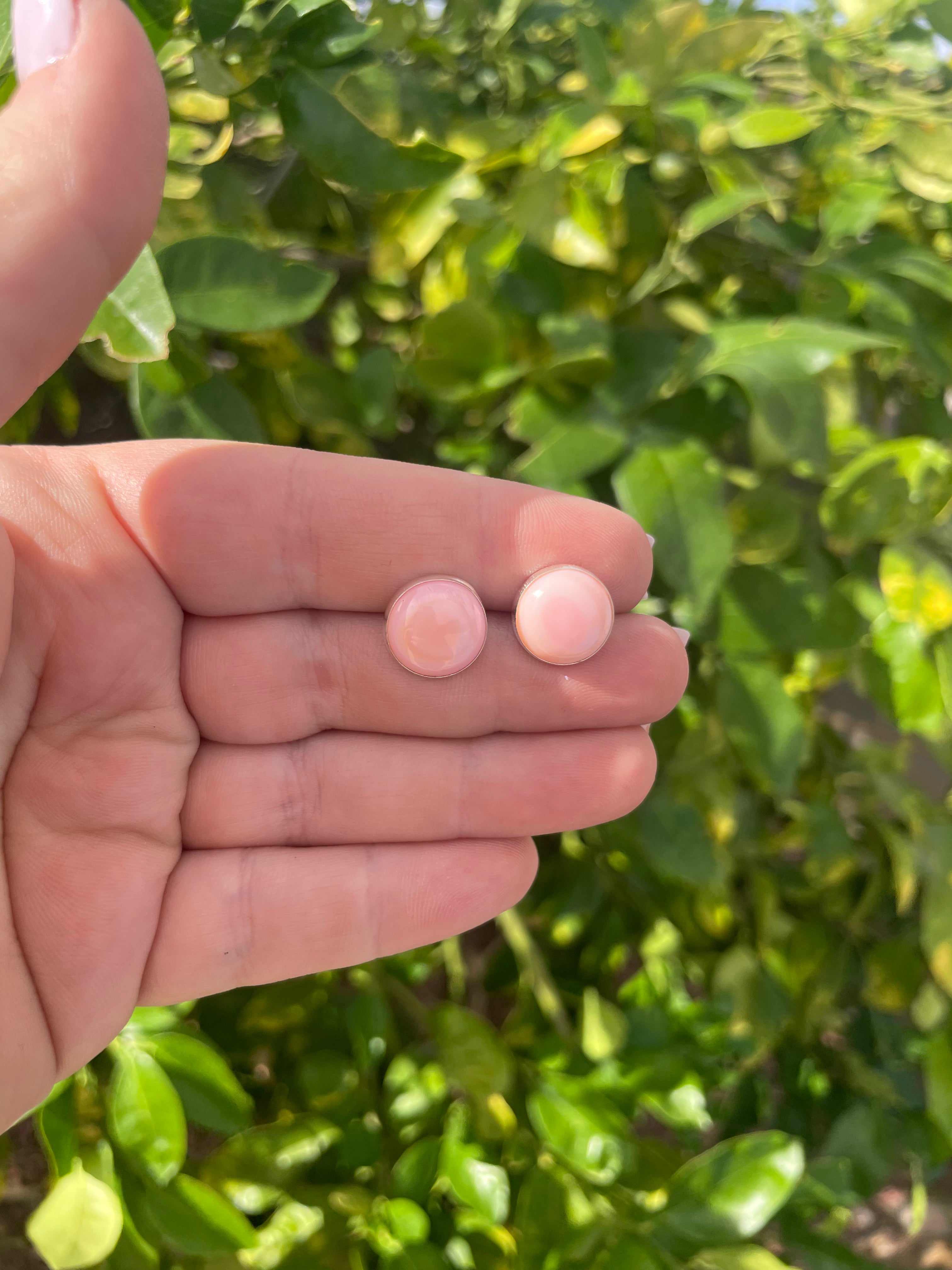 “The Sylvia” Queen Pink Conch & Sterling Silver Stud Earrings