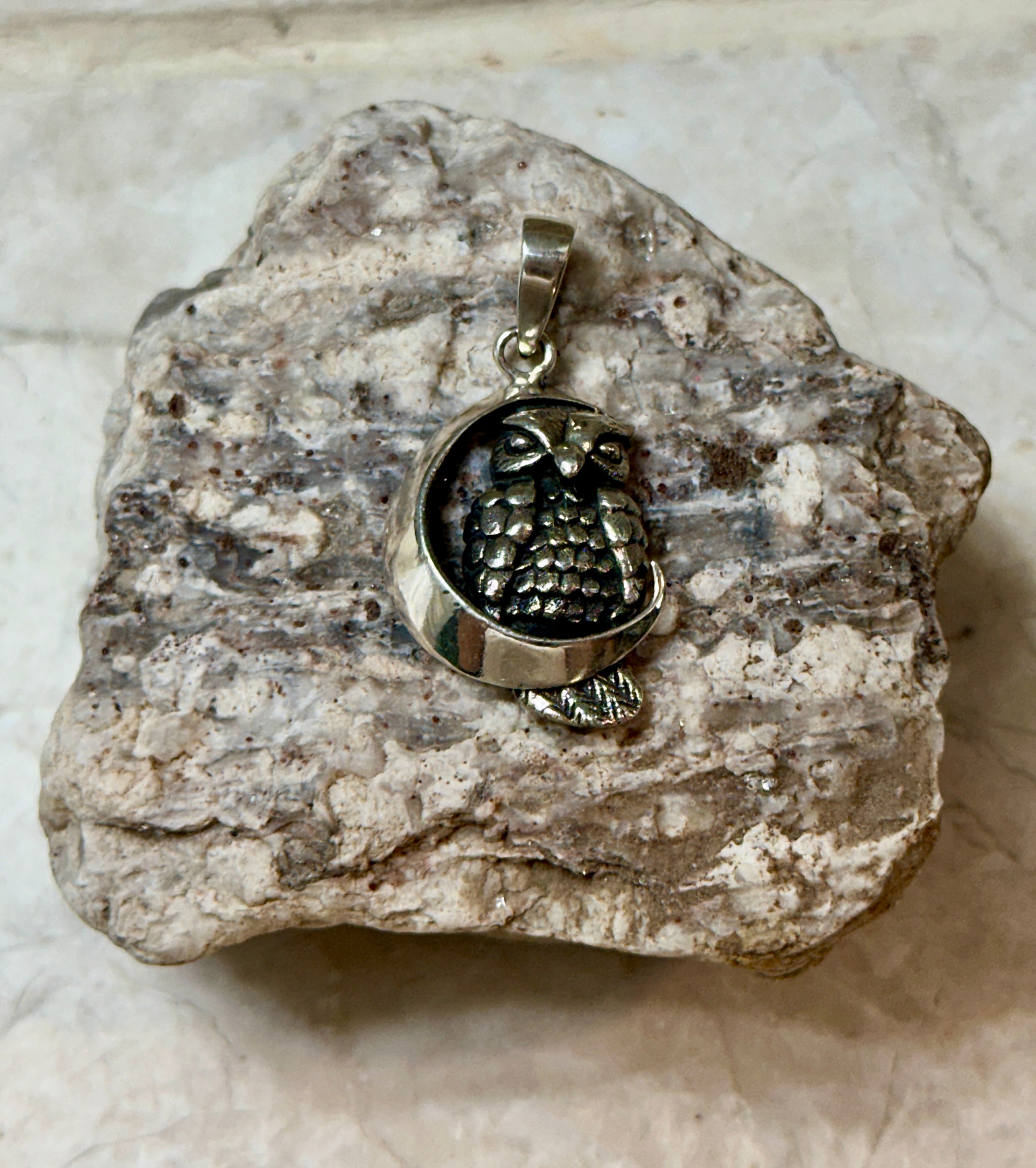 Owl on the Crescent Moon Sterling Silver Pendant