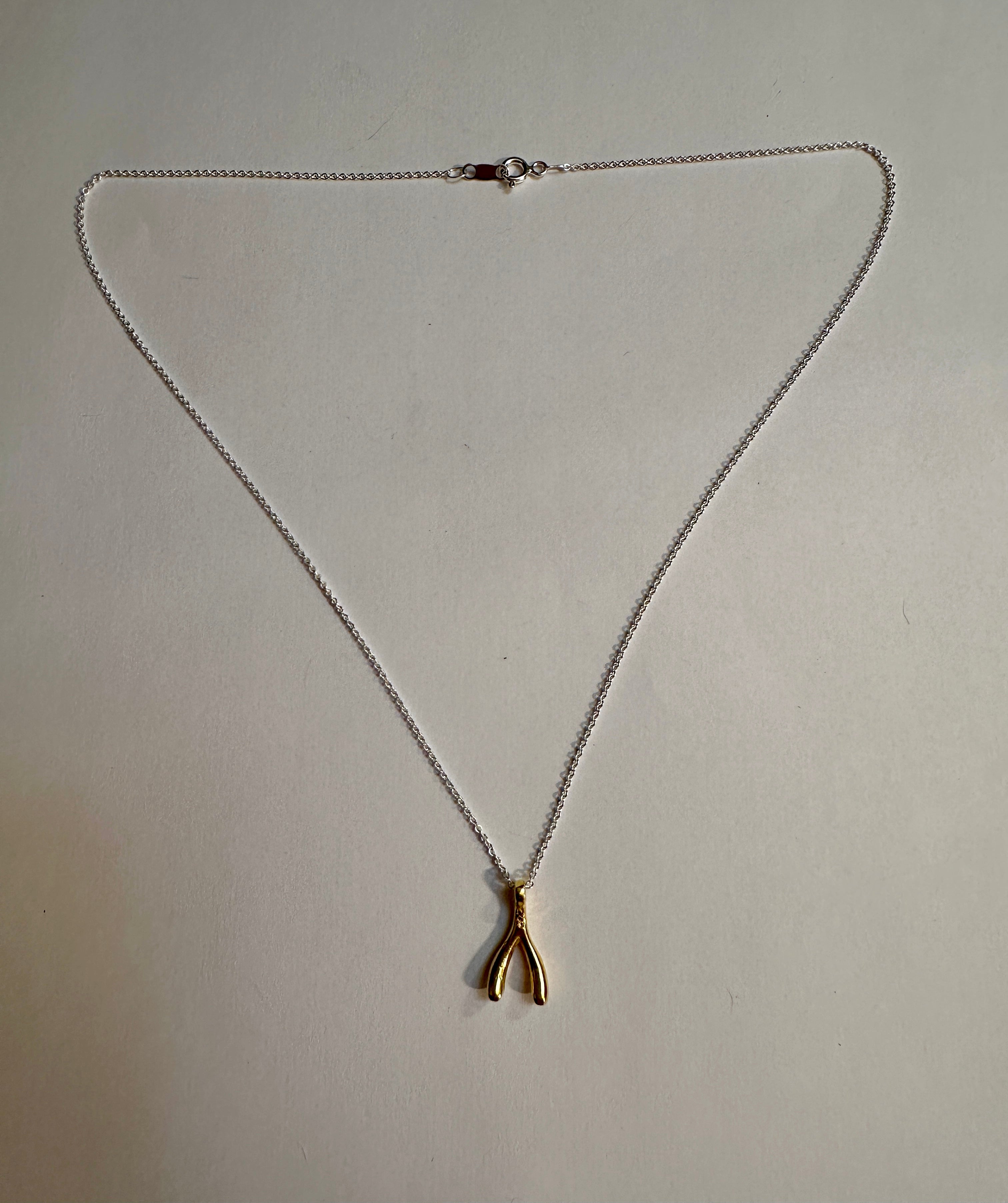 Gold Wishbone Necklace