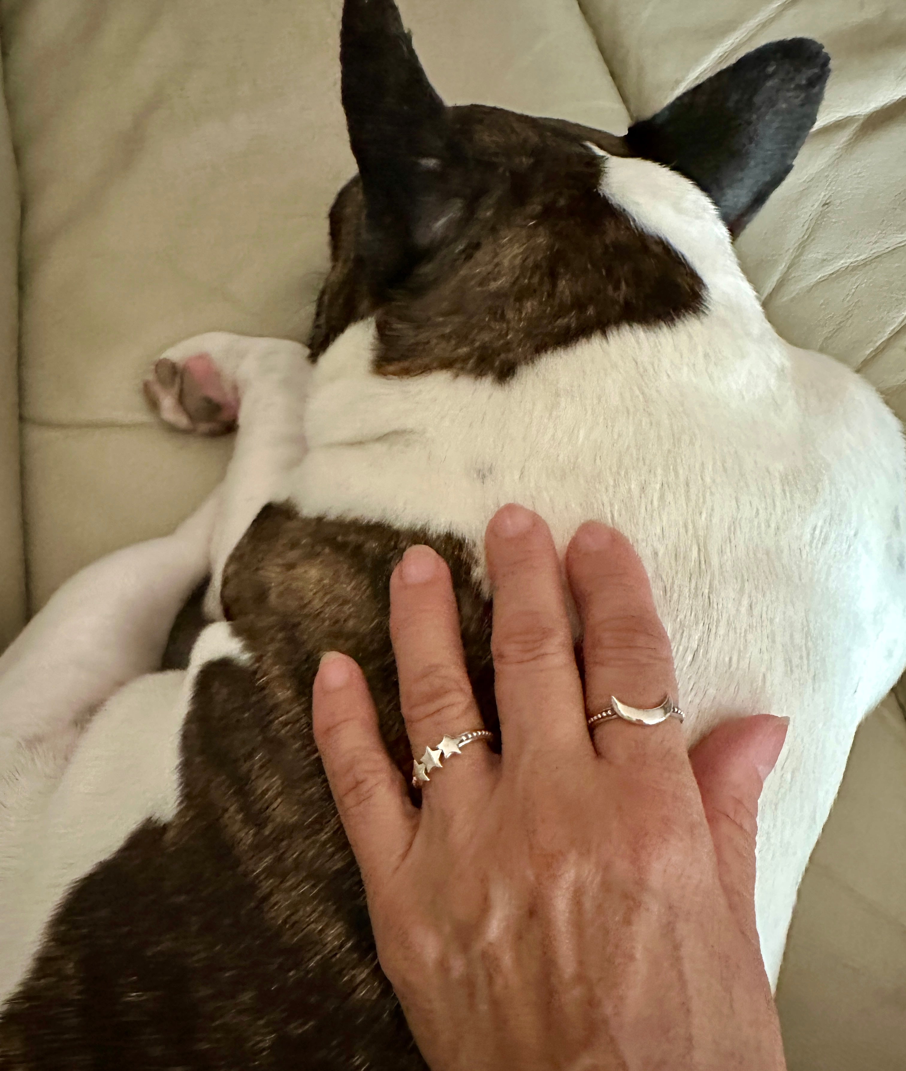 Crescent Moon & 3 Stars Sterling Silver Rings