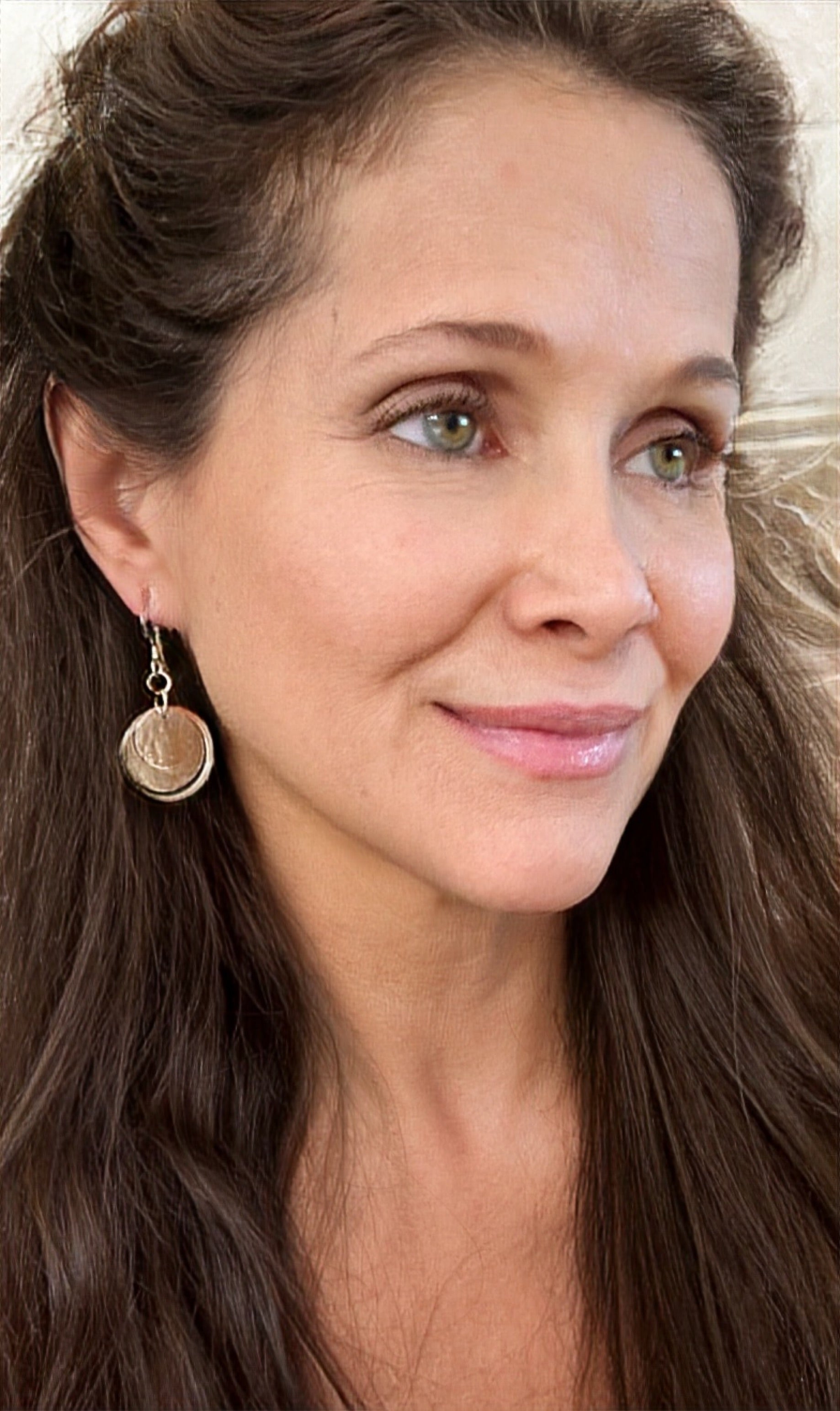 Petite Triple Circle Earrings on Hook