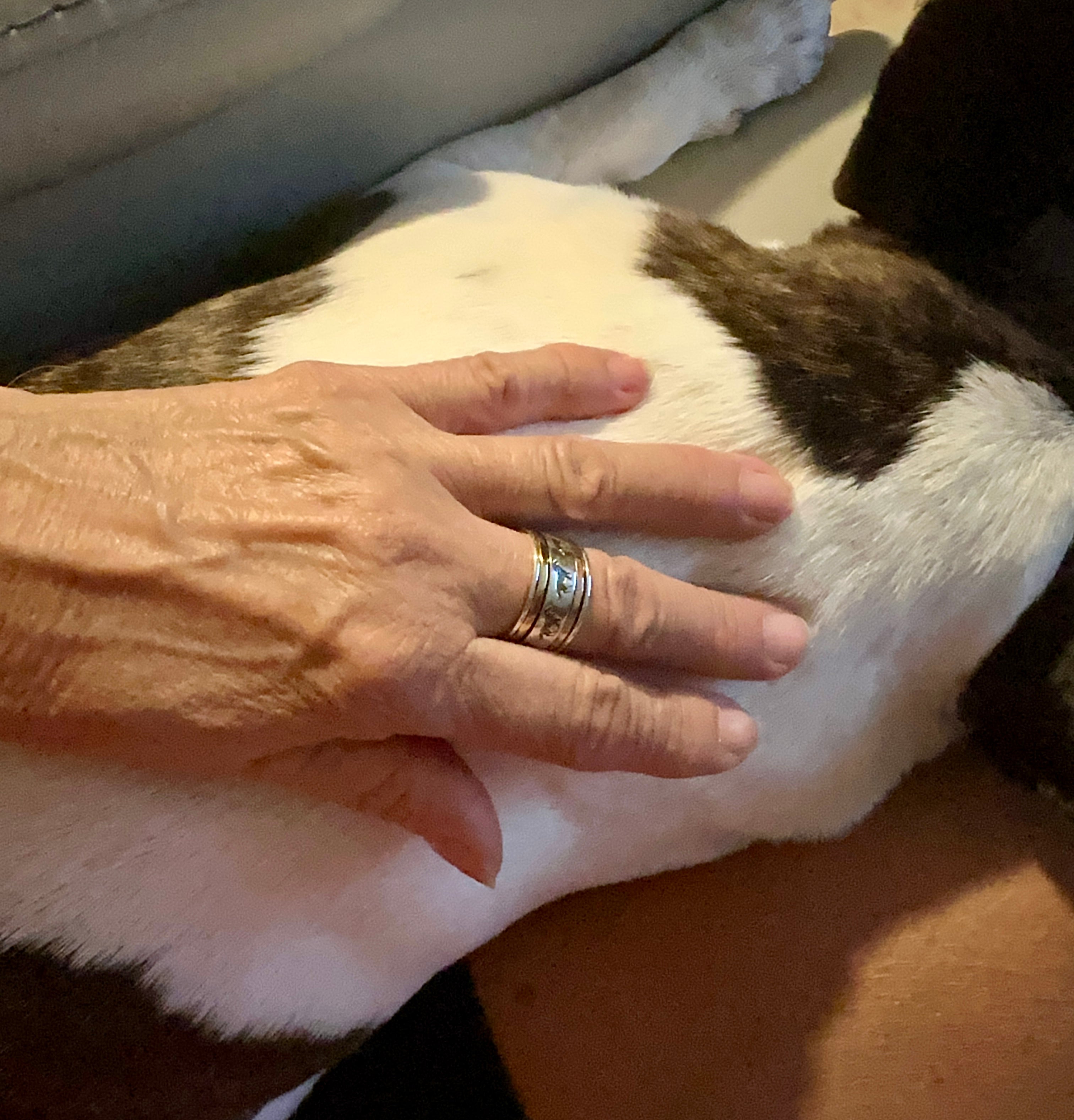 Running Horses Sterling Silver Copper & Gold Spinner Ring