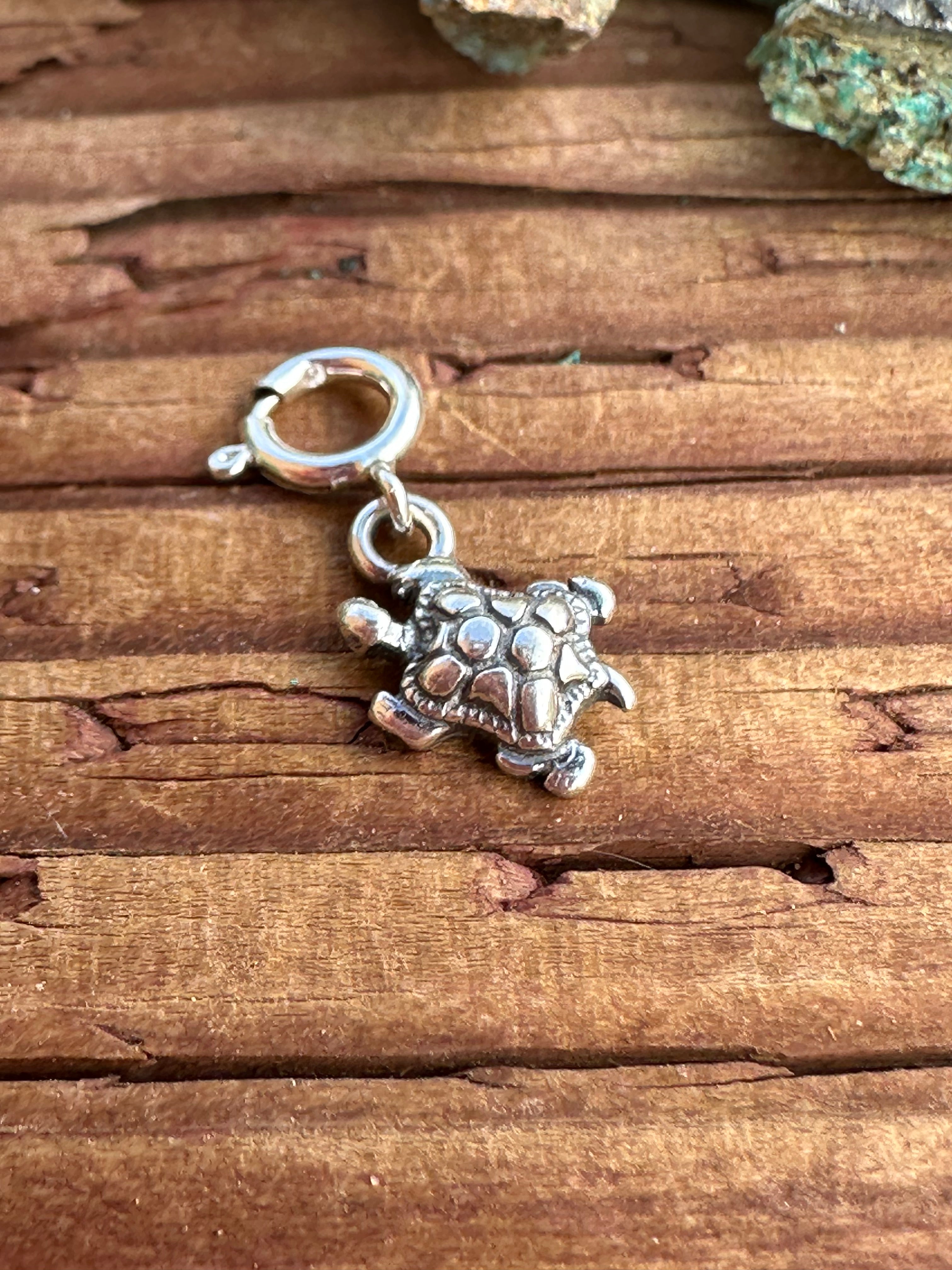 Sterling Silver Roaming Turtle Charm