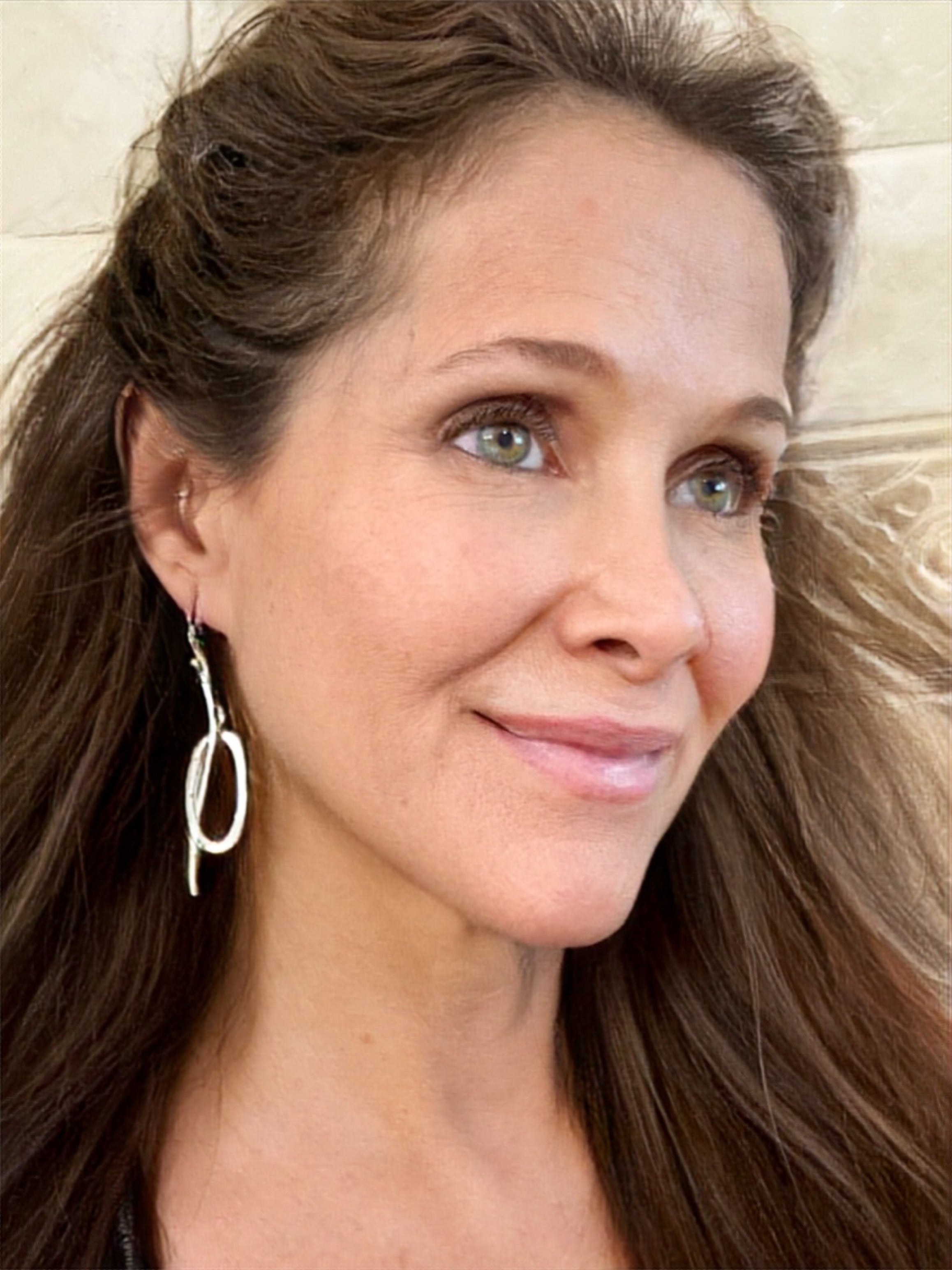 Pierced Oval Earrings on Hook