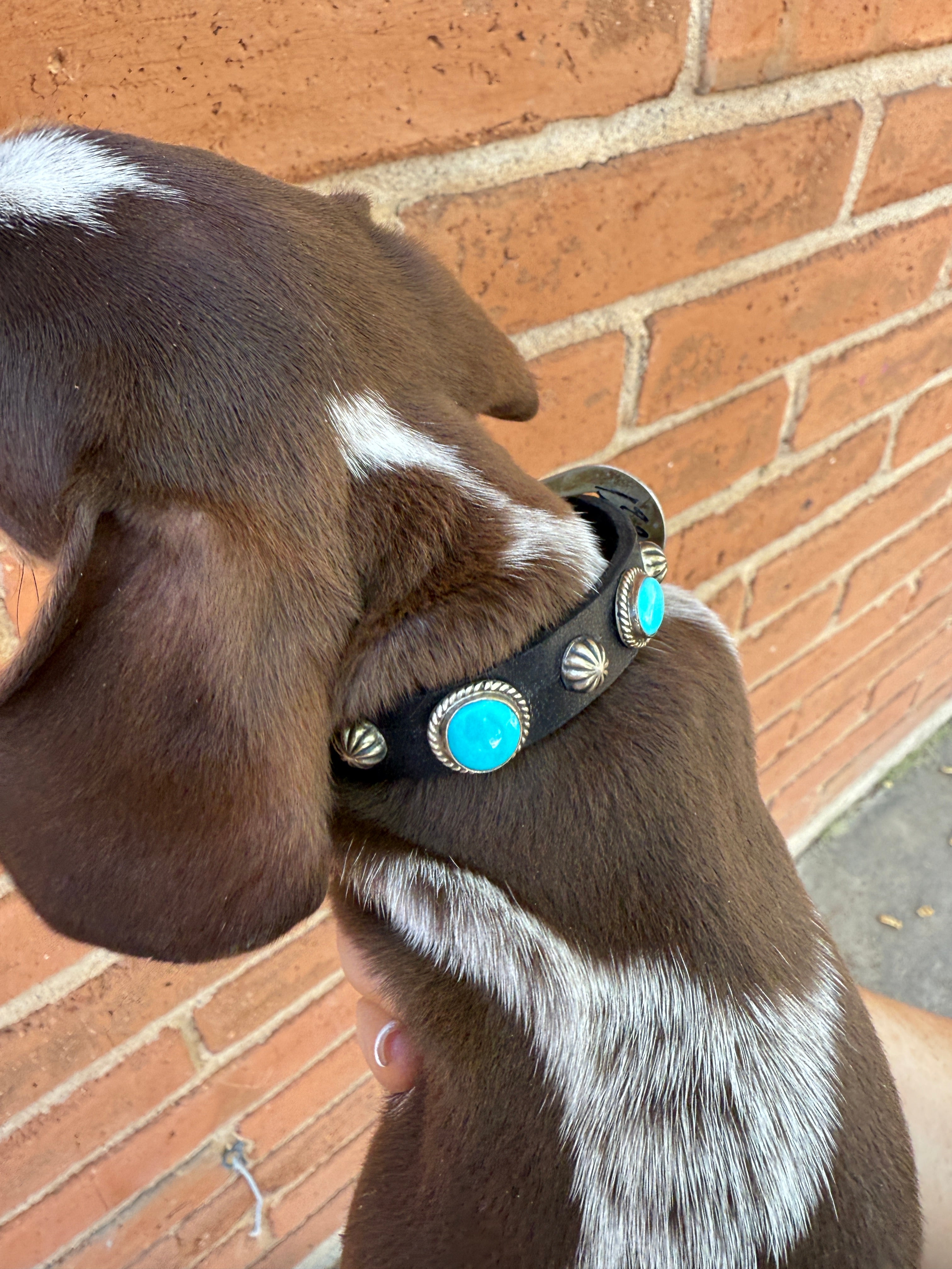 Handcrafted Turquoise Leather Dog Collars