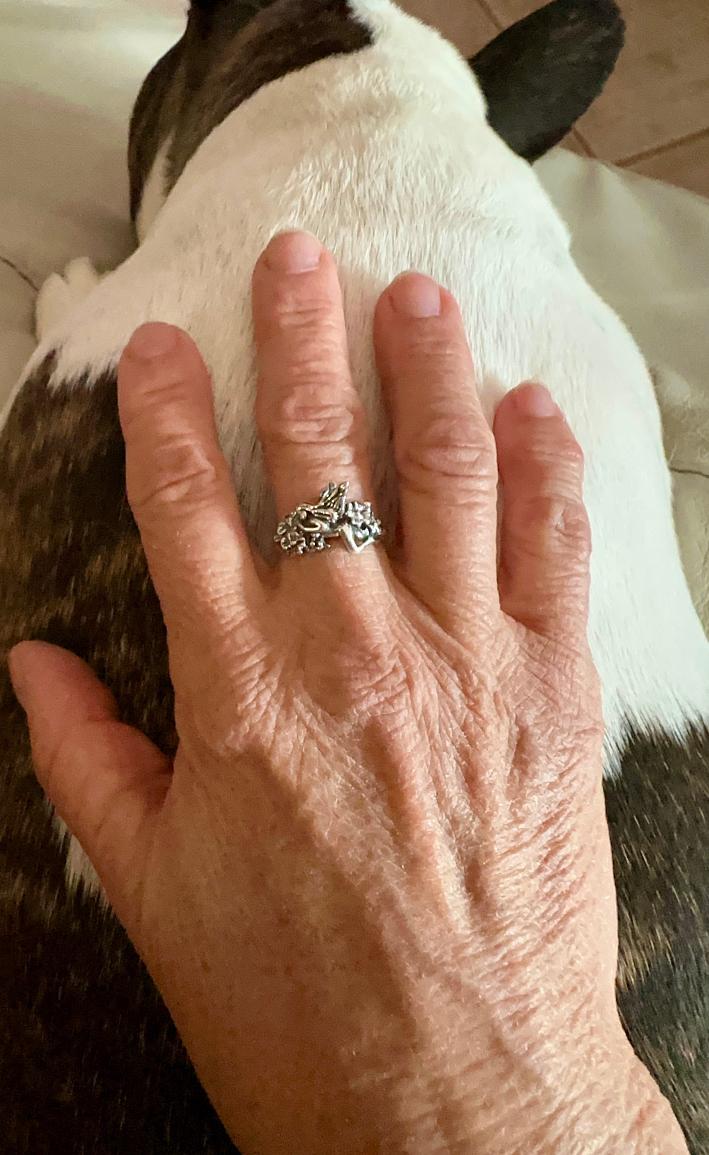 Angel Sterling Silver Ring