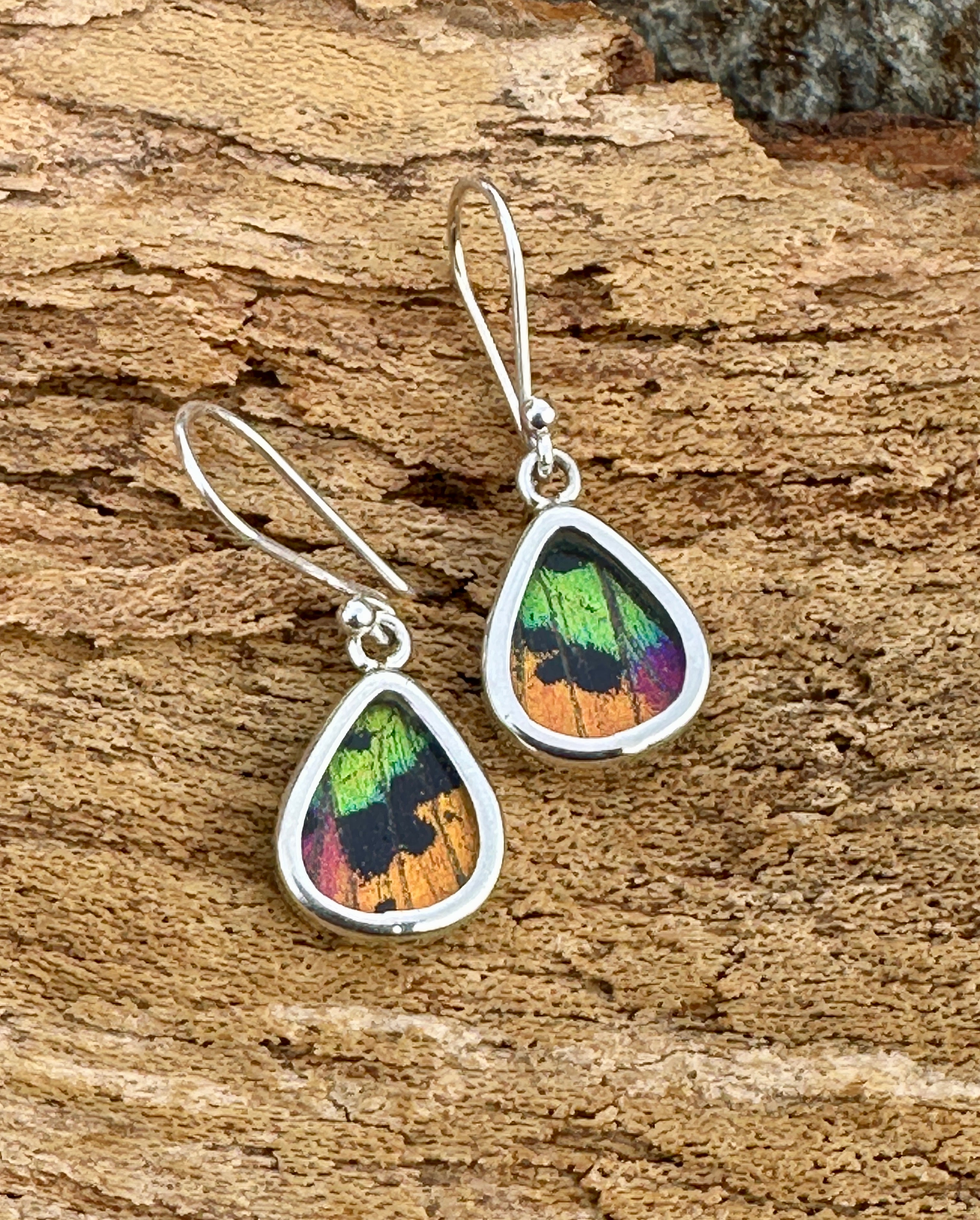 Urania Ripheus Butterfly Dangle Sterling Silver Earrings