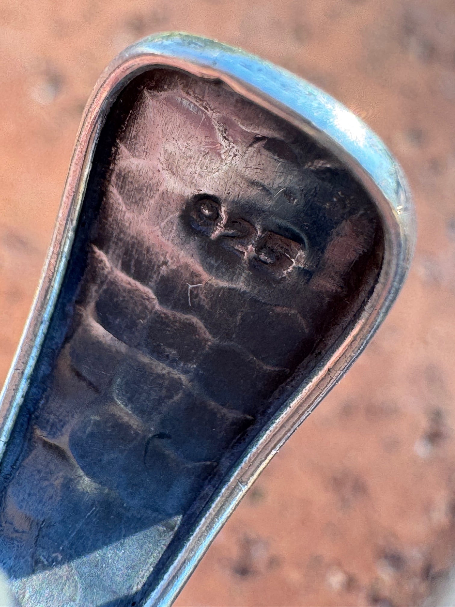 Paige Wallace Turquoise & Sterling Silver Adjustable Ring