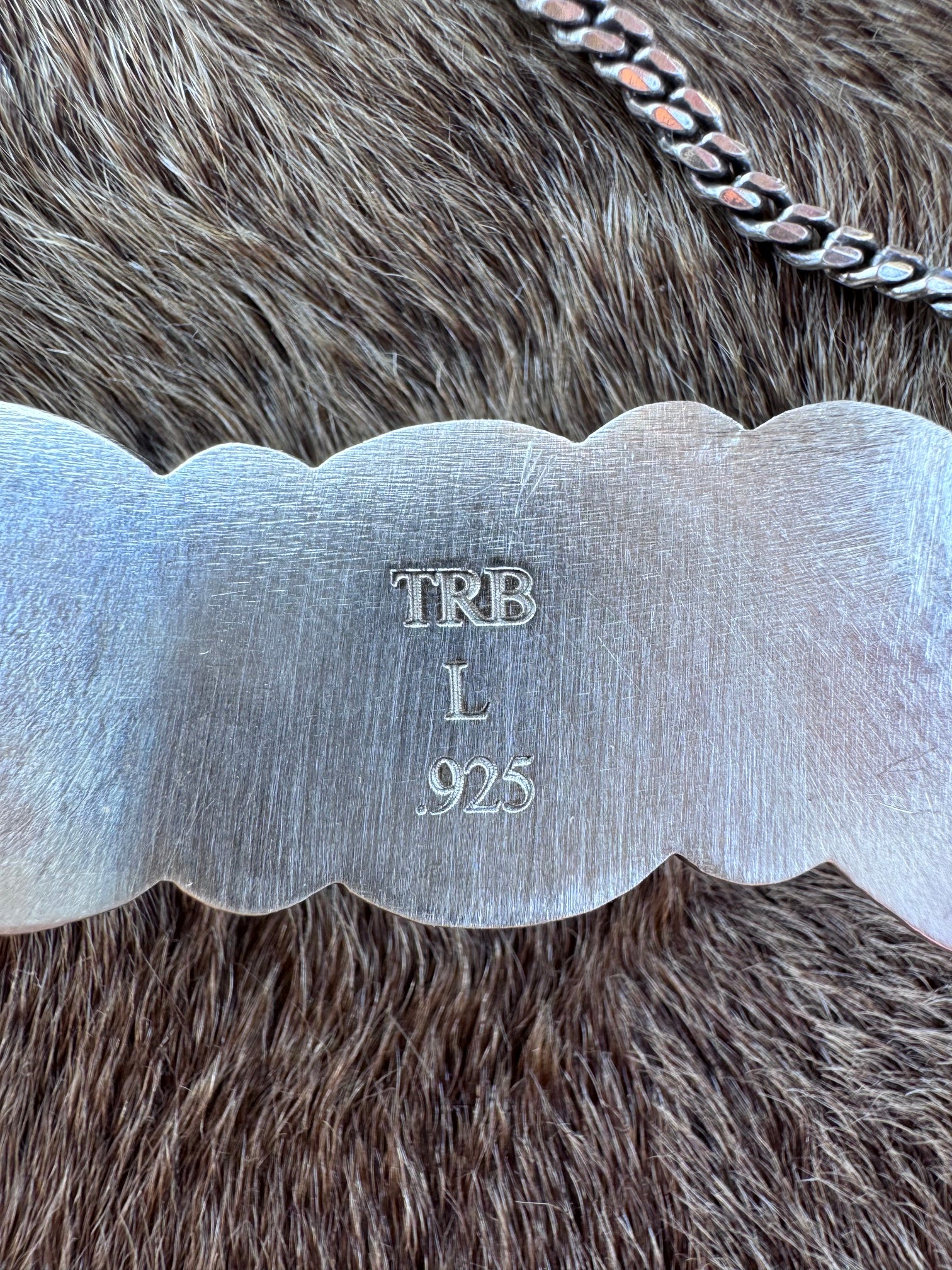 Handmade Sterling Silver Checker, Sonoran Gold, & Spiny 20" Bar Necklace by Roaming Buffalo