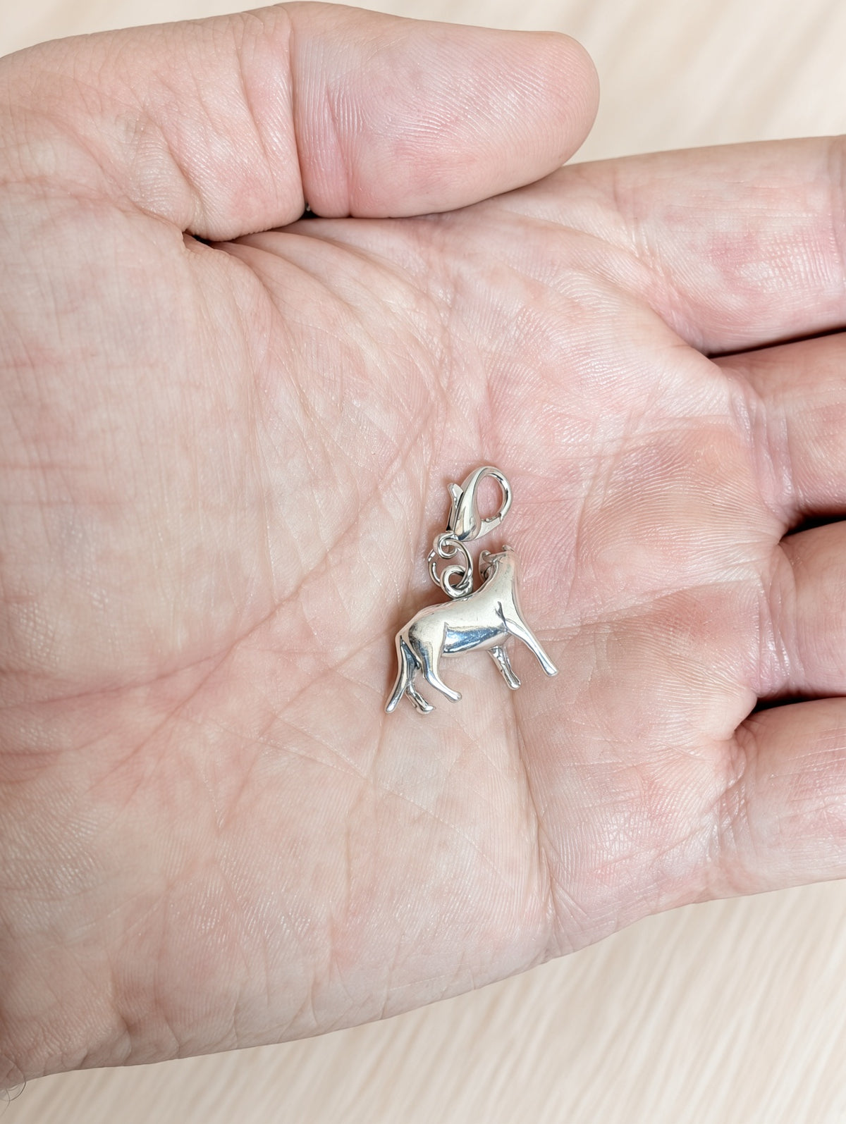 Handcrafted House Cat Charm Sterling Silver