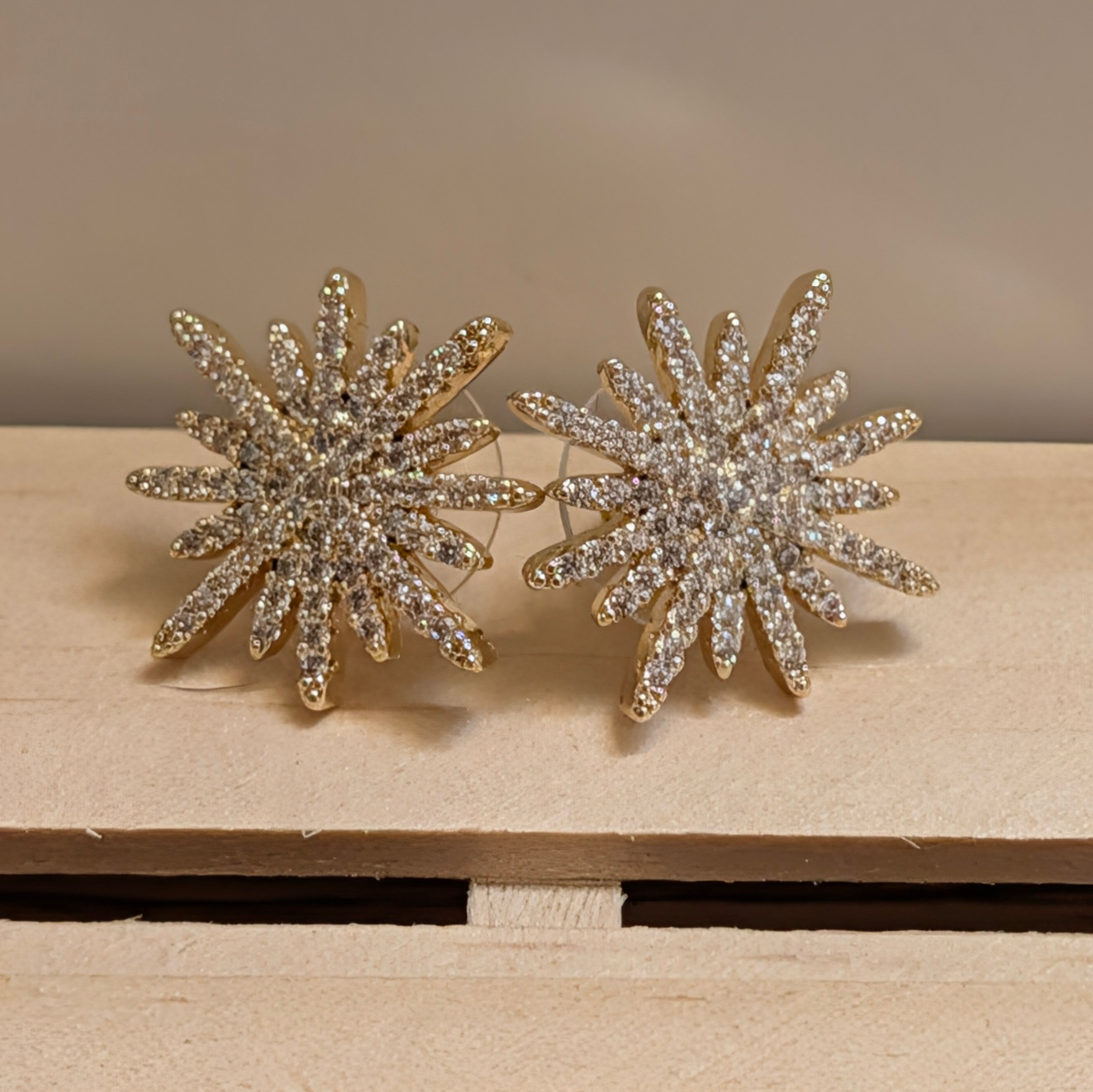 14k Gold Round CZ Star Earrings