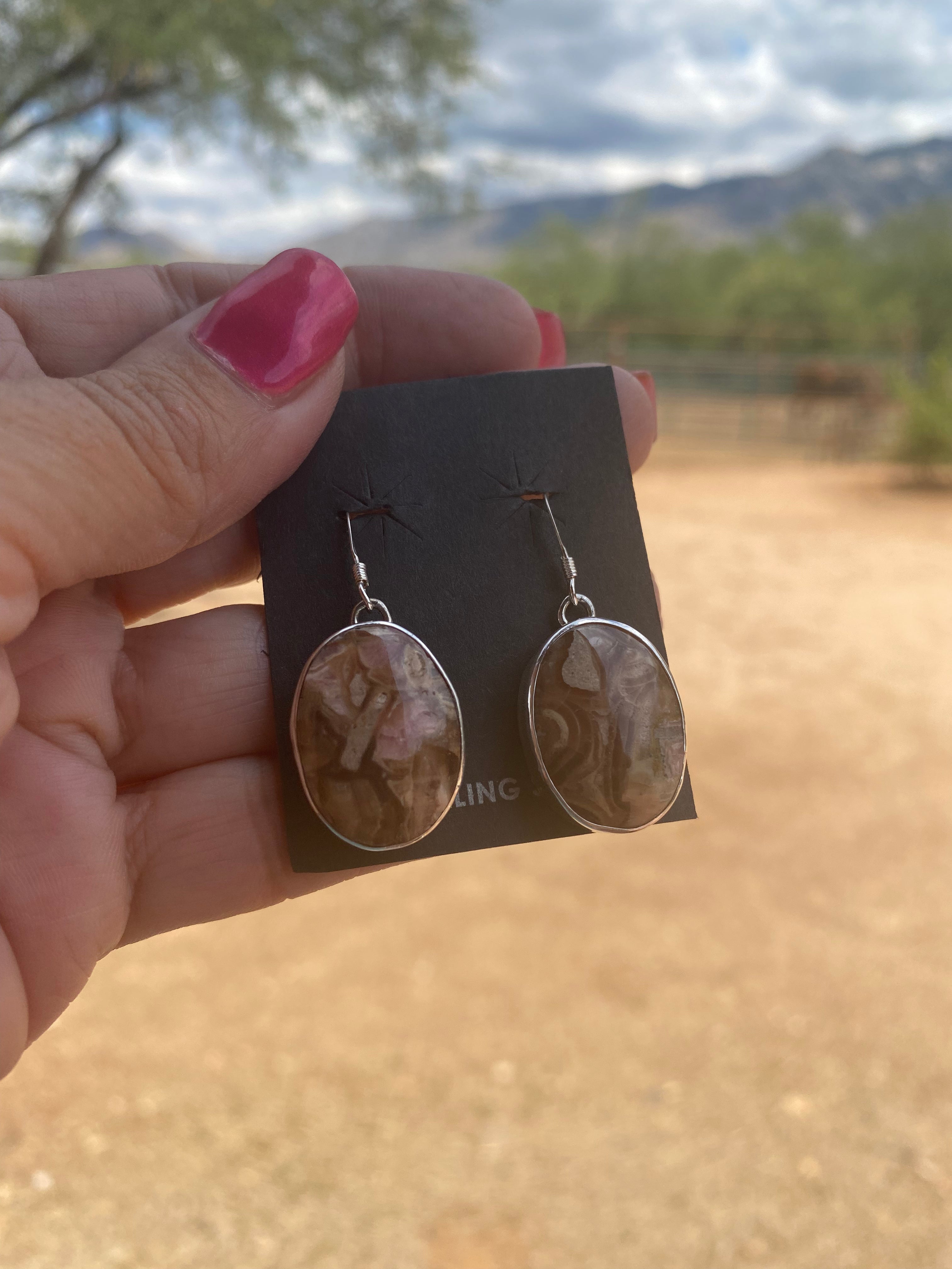 Navajo Rhodonite & Sterling Silver Beaded Necklace Set